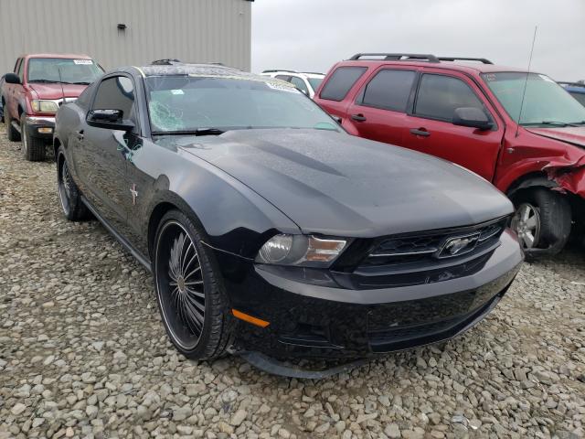 FORD MUSTANG 2010 1zvbp8anxa5173006