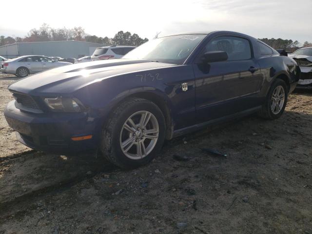 FORD MUSTANG 2010 1zvbp8anxa5175158