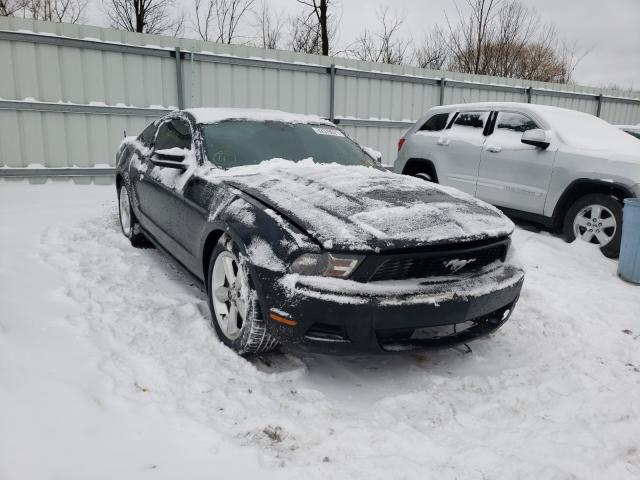 FORD MUSTANG 2010 1zvbp8anxa5176472