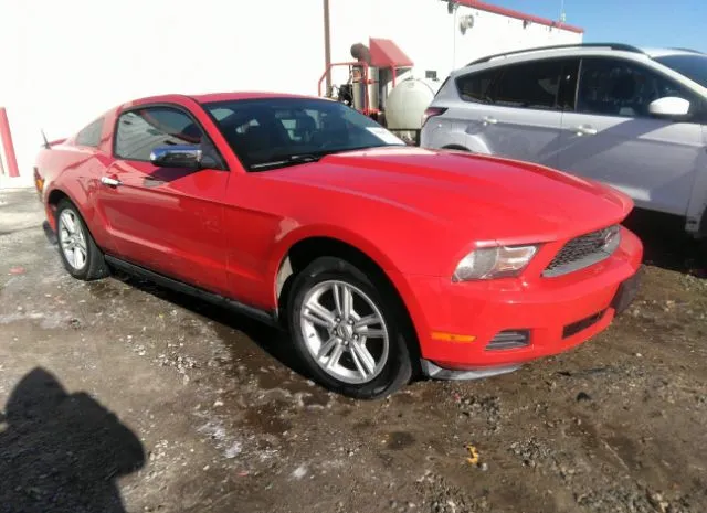 FORD MUSTANG 2010 1zvbp8anxa5176603