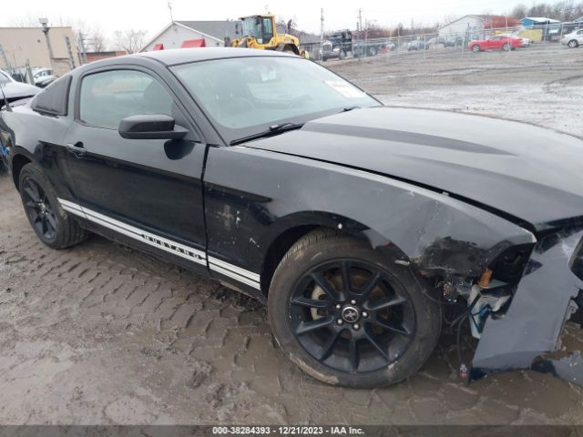 FORD MUSTANG 2010 1zvbp8anxa5176990