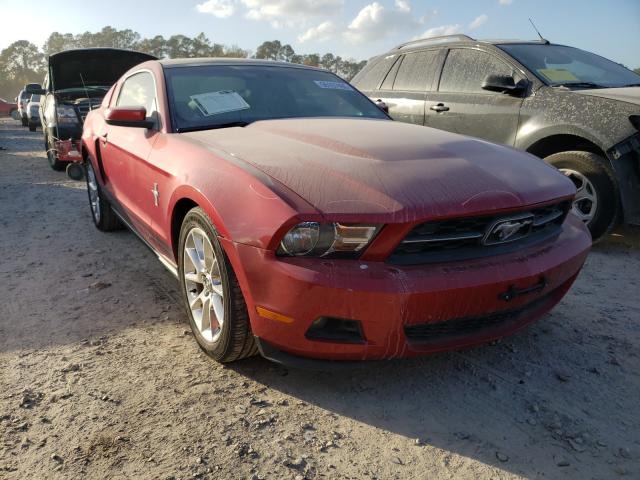 FORD MUSTANG 2010 1zvbp8anxa5177475