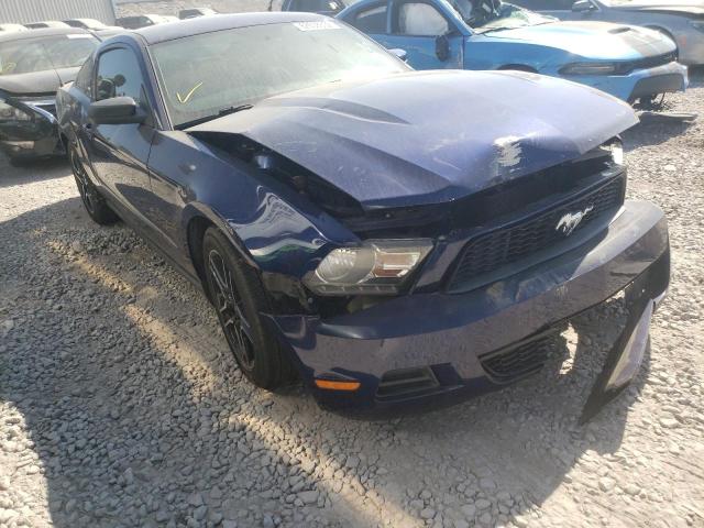 FORD MUSTANG 2010 1zvbp8anxa5180196