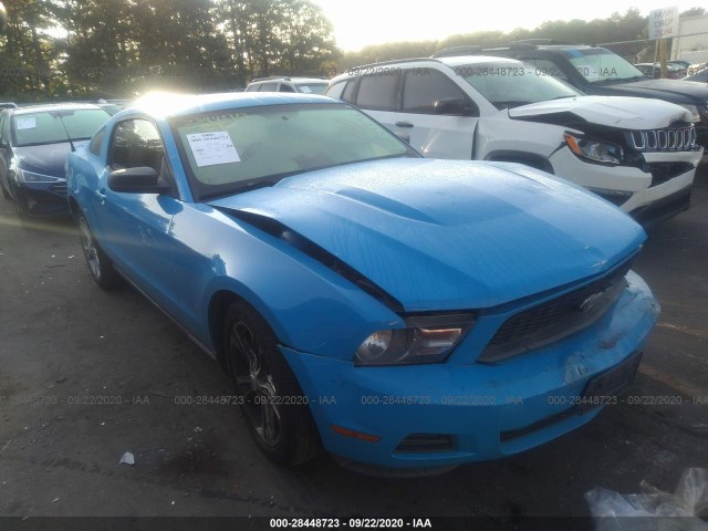 FORD MUSTANG 2010 1zvbp8anxa5181798