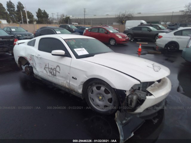 FORD MUSTANG 2011 1zvbp8cf0b5104641