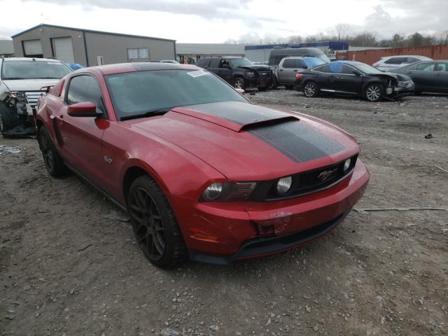 FORD MUSTANG GT 2011 1zvbp8cf0b5152981