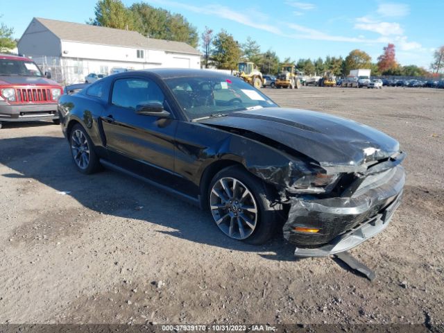 FORD MUSTANG 2011 1zvbp8cf0b5158084