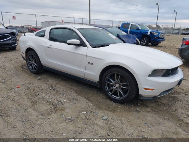 FORD MUSTANG 2011 1zvbp8cf0b5165455