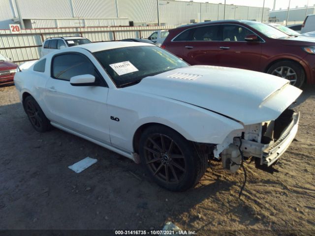 FORD MUSTANG 2013 1zvbp8cf0d5249682