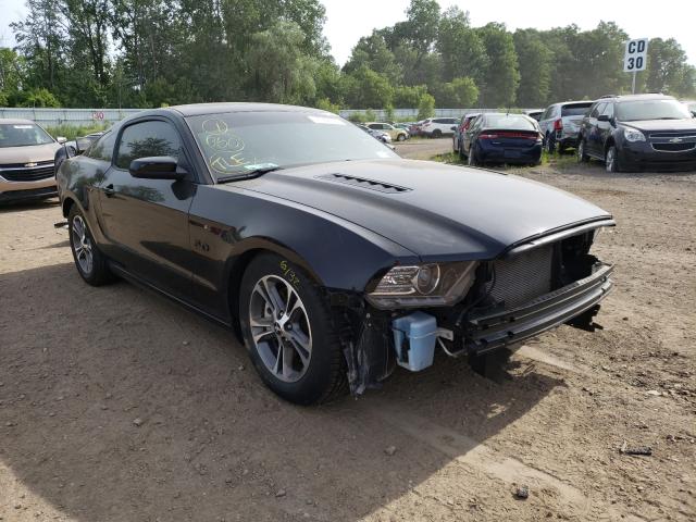 FORD MUSTANG GT 2013 1zvbp8cf0d5252016