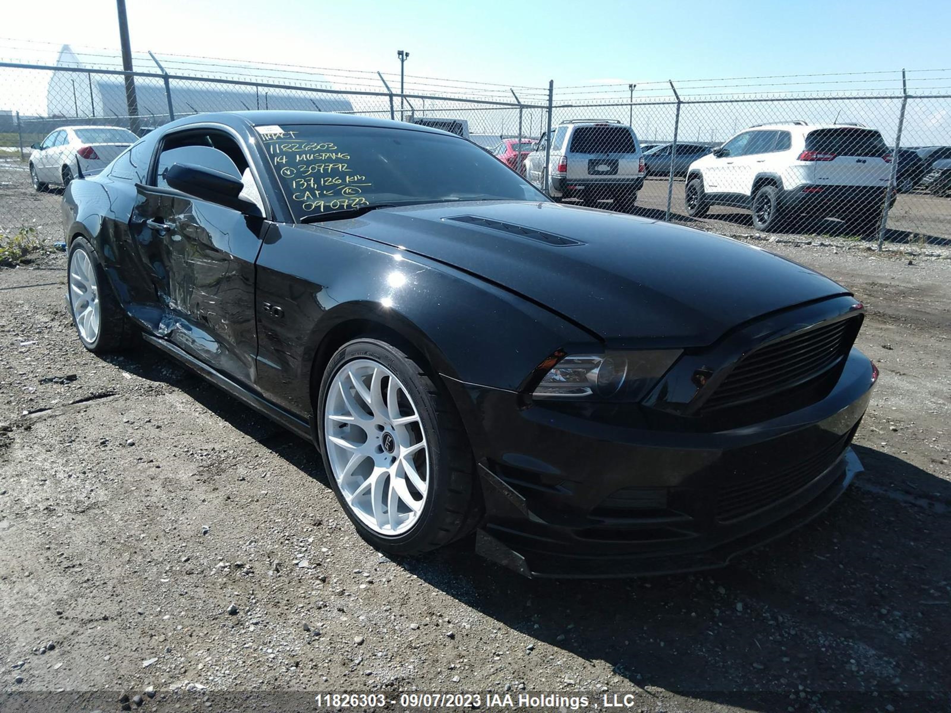 FORD MUSTANG 2014 1zvbp8cf0e5307792