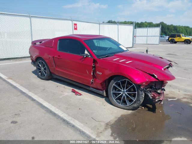 FORD MUSTANG 2011 1zvbp8cf1b5135400