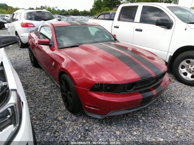 FORD MUSTANG 2011 1zvbp8cf1b5146154