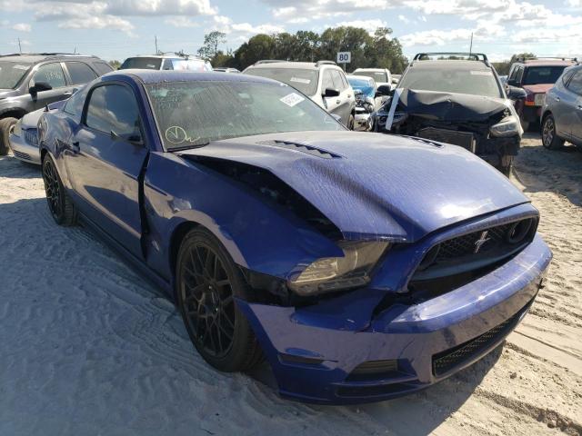 FORD MUSTANG GT 2013 1zvbp8cf1d5281041