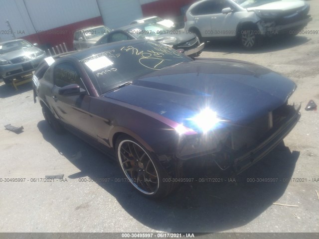 FORD MUSTANG 2011 1zvbp8cf2b5103006