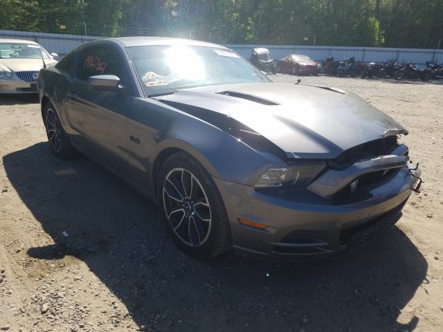 FORD MUSTANG GT 2013 1zvbp8cf2d5284112