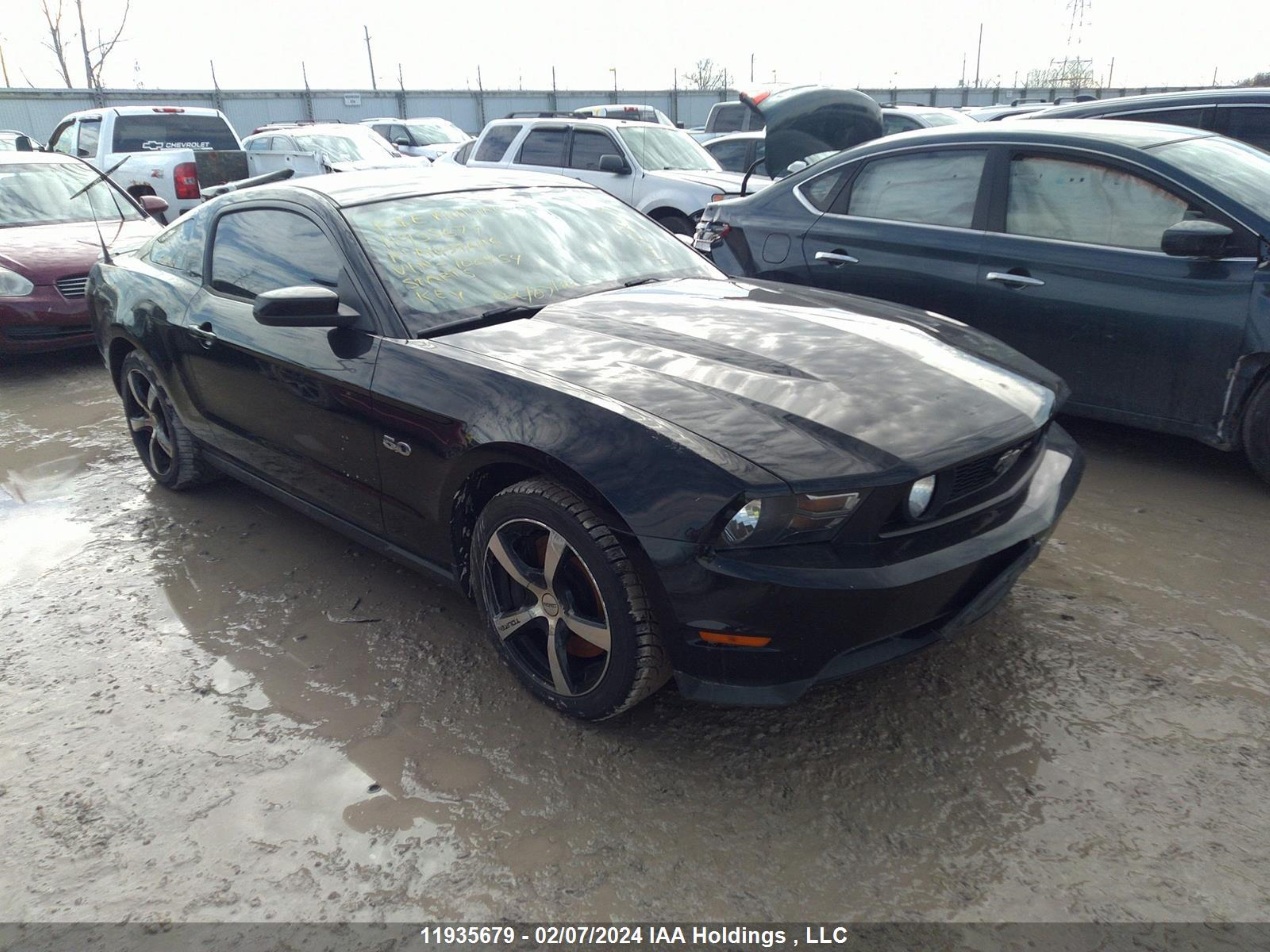 FORD MUSTANG 2011 1zvbp8cf3b5100454