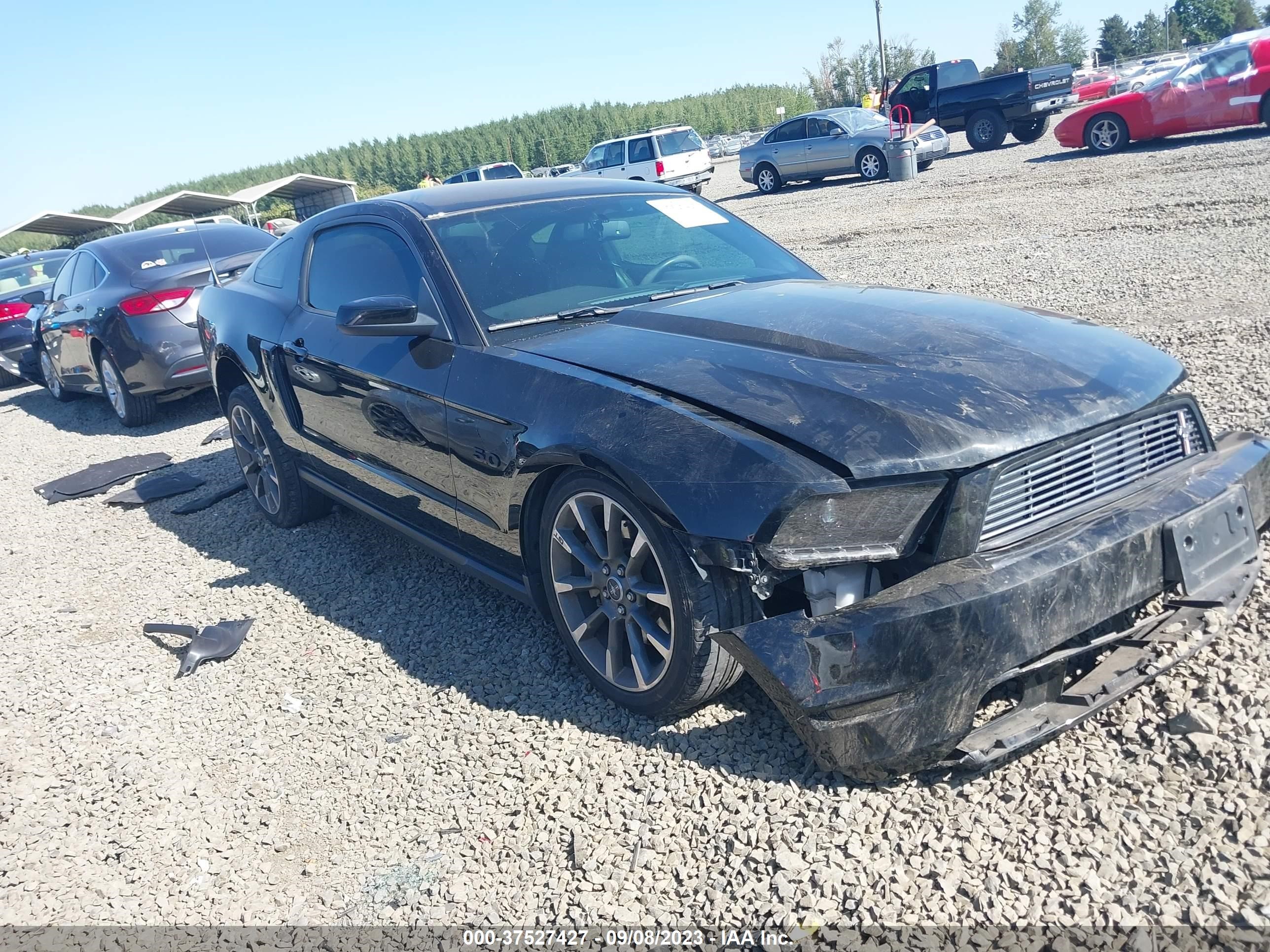 FORD MUSTANG 2011 1zvbp8cf3b5119683