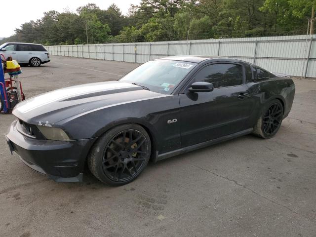 FORD MUSTANG 2011 1zvbp8cf3b5123488