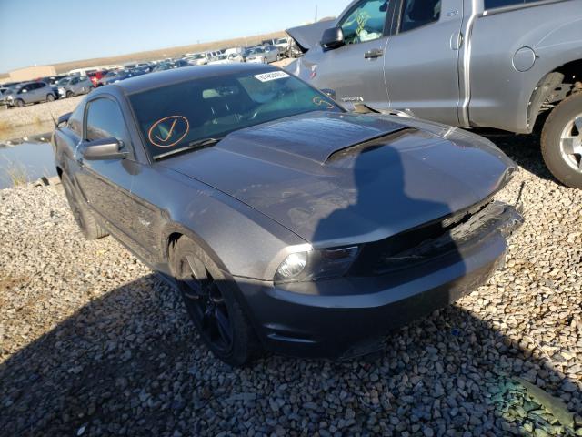 FORD MUSTANG GT 2011 1zvbp8cf3b5131431