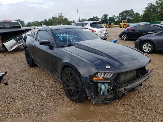 FORD MUSTANG GT 2011 1zvbp8cf3b5135401