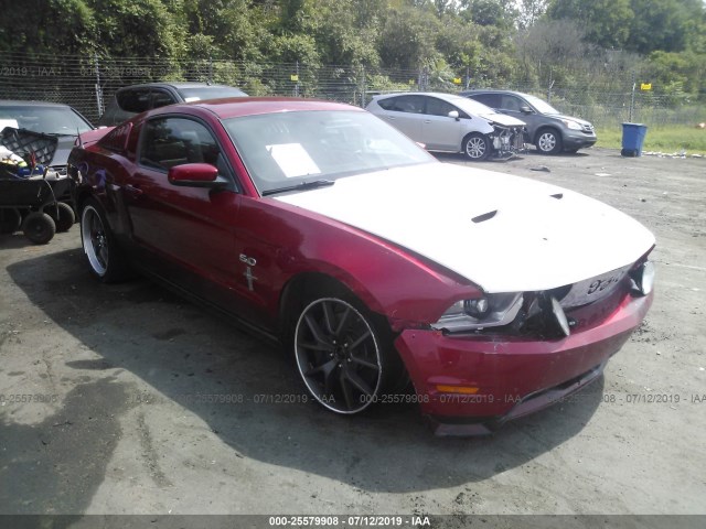 FORD MUSTANG 2011 1zvbp8cf3b5138587