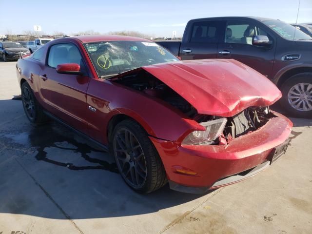 FORD MUSTANG GT 2011 1zvbp8cf3b5141716