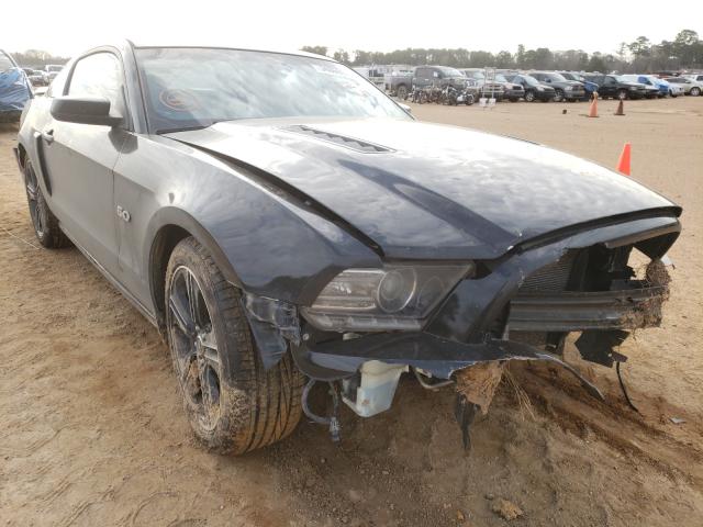 FORD MUSTANG GT 2013 1zvbp8cf3d5216143