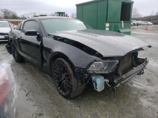 FORD MUSTANG GT 2013 1zvbp8cf3d5263284