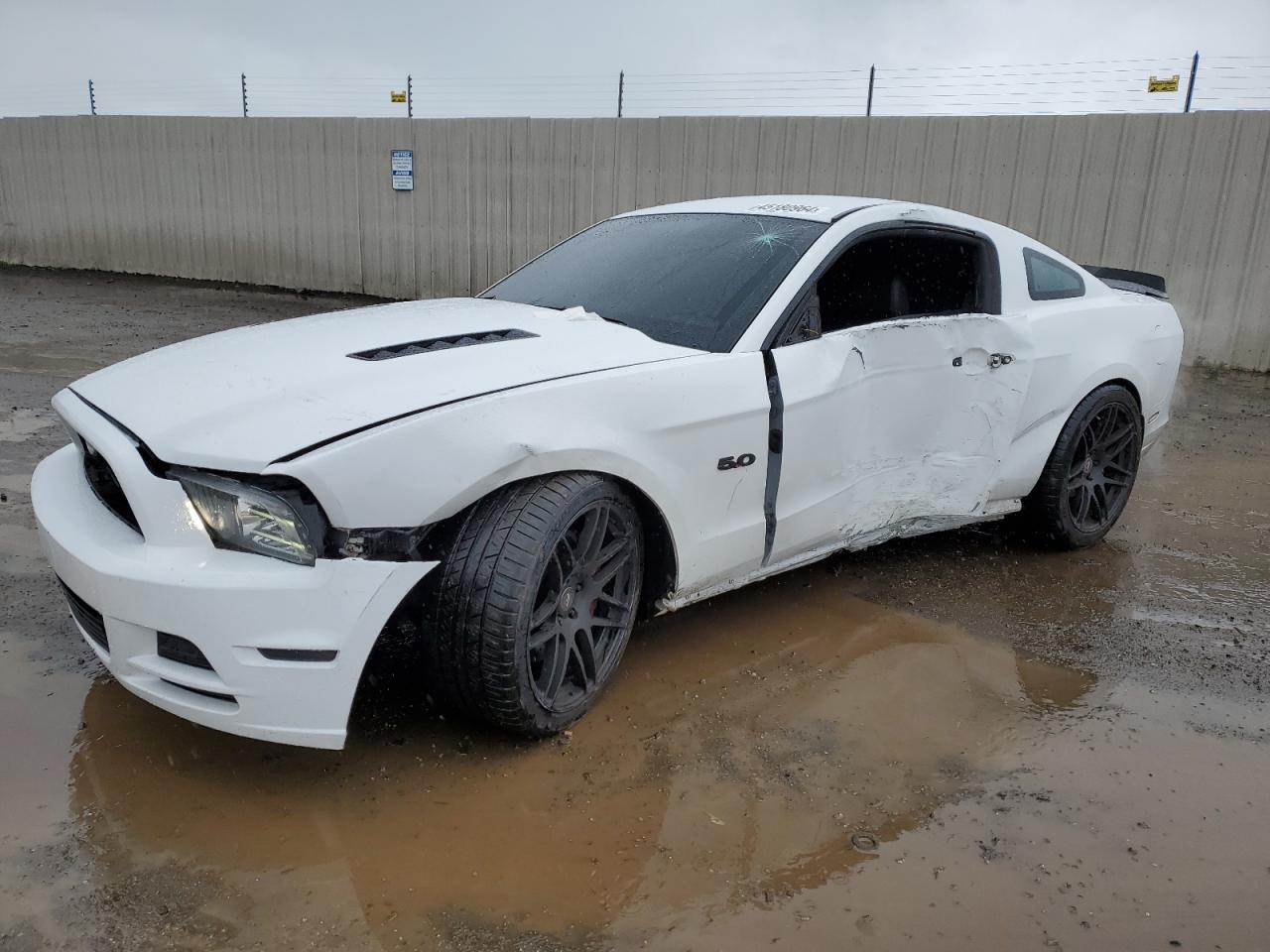 FORD MUSTANG 2014 1zvbp8cf3e5281219