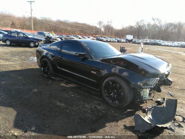 FORD MUSTANG 2011 1zvbp8cf4b5105887