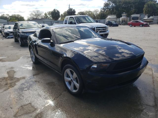 FORD MUSTANG GT 2011 1zvbp8cf4b5125069