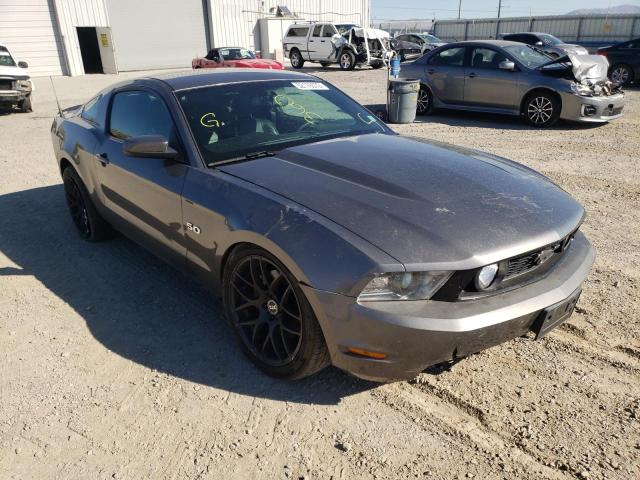 FORD MUSTANG GT 2011 1zvbp8cf4b5145600