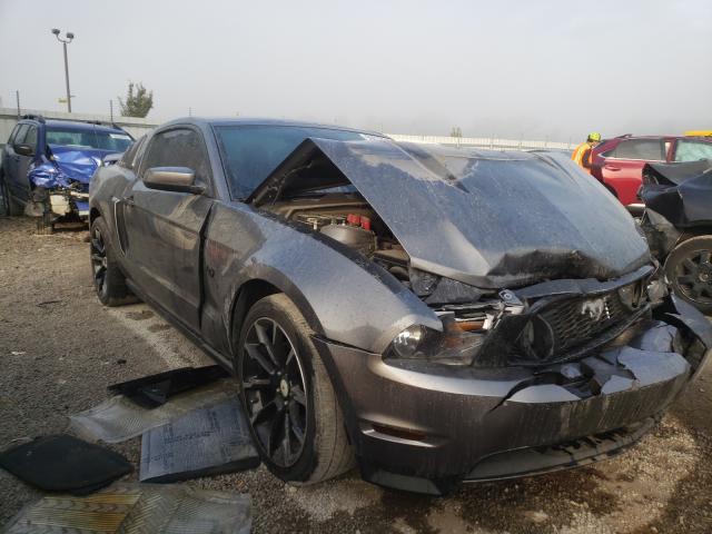 FORD MUSTANG GT 2011 1zvbp8cf4b5146259