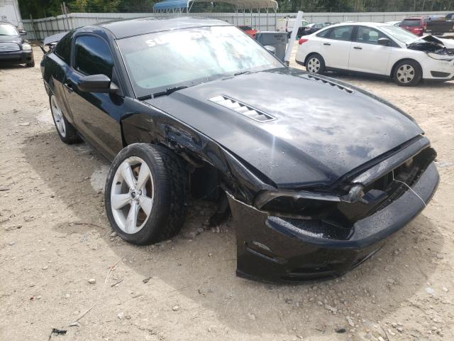 FORD MUSTANG GT 2013 1zvbp8cf4d5231220