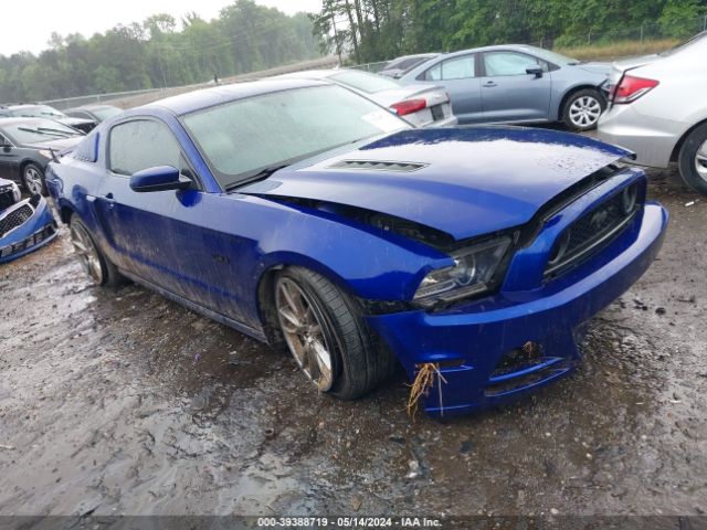 FORD MUSTANG 2013 1zvbp8cf4d5240466