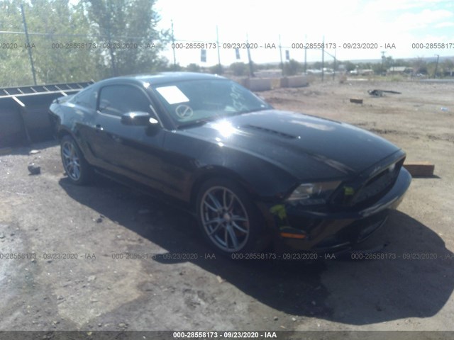 FORD MUSTANG 2014 1zvbp8cf4e5310081