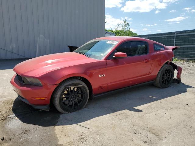 FORD MUSTANG 2011 1zvbp8cf5b5113979