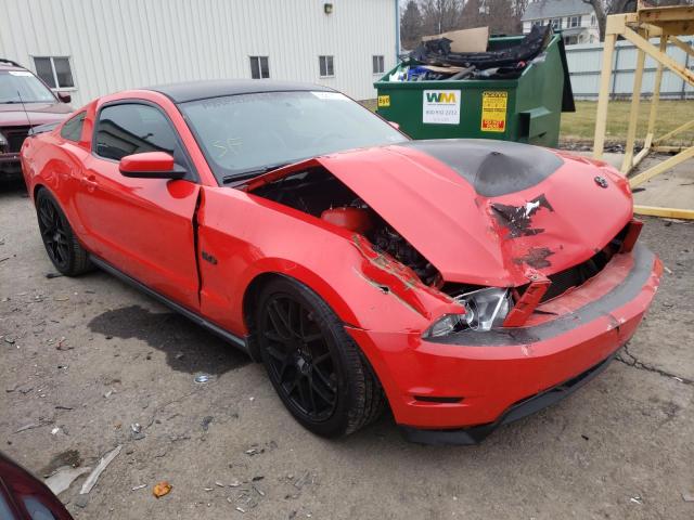 FORD MUSTANG GT 2011 1zvbp8cf5b5116686