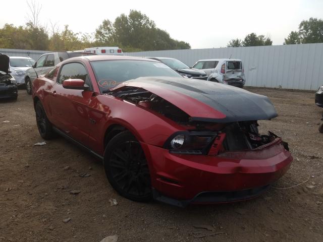 FORD MUSTANG GT 2011 1zvbp8cf5b5134072