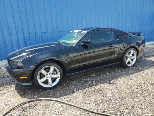 FORD MUSTANG GT 2011 1zvbp8cf5b5147954