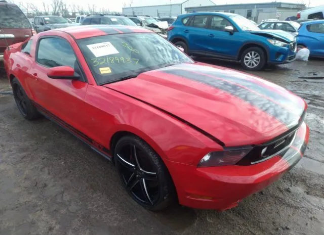 FORD MUSTANG 2011 1zvbp8cf5b5153799