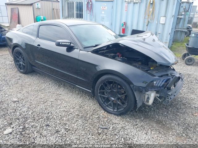 FORD MUSTANG 2011 1zvbp8cf5b5154936