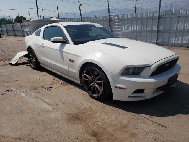 FORD MUSTANG GT 2013 1zvbp8cf5d5216192