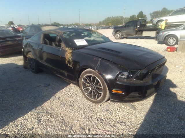 FORD MUSTANG 2013 1zvbp8cf5d5281723