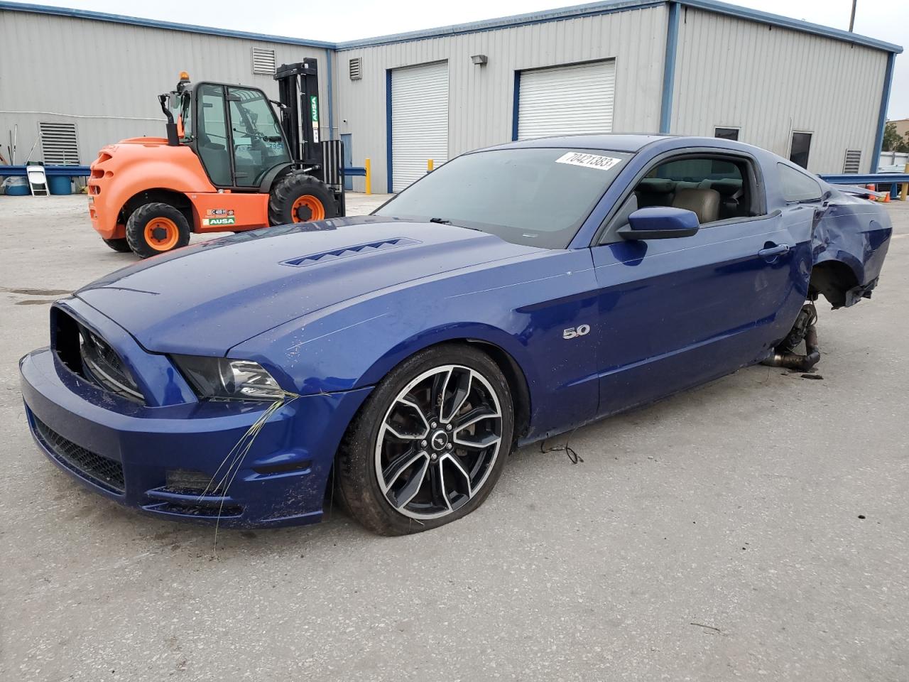 FORD MUSTANG 2013 1zvbp8cf5d5284718