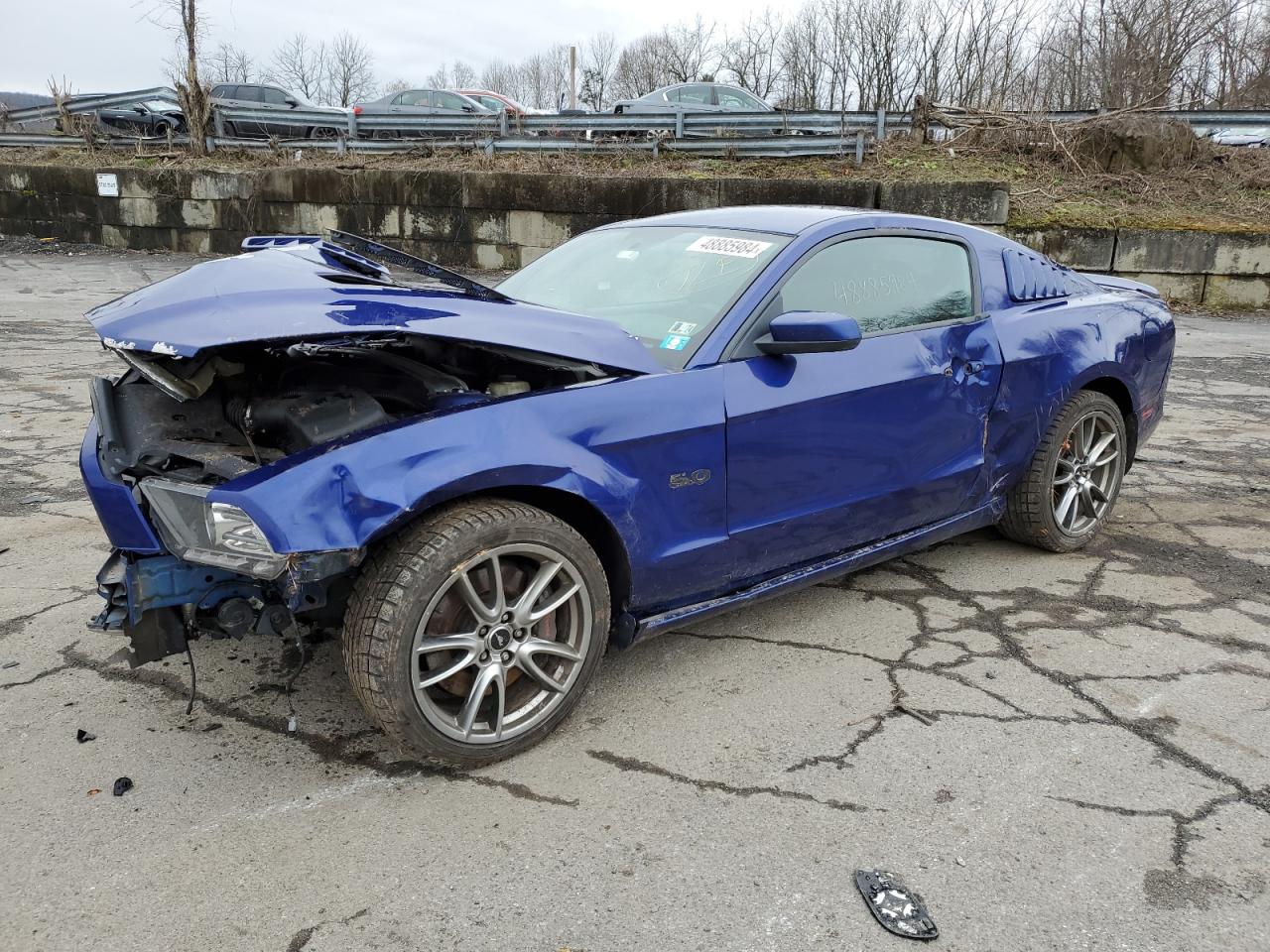 FORD MUSTANG 2014 1zvbp8cf5e5246262