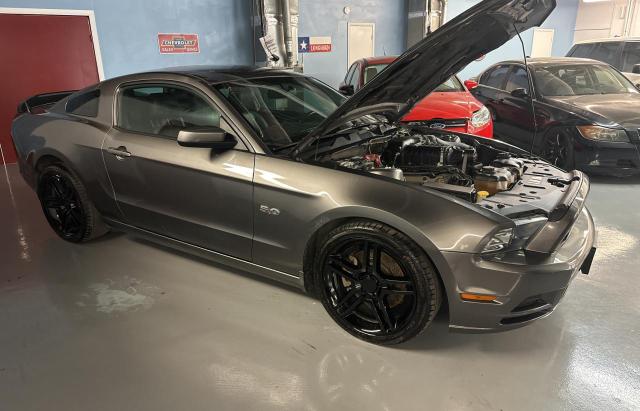 FORD MUSTANG GT 2014 1zvbp8cf5e5274479