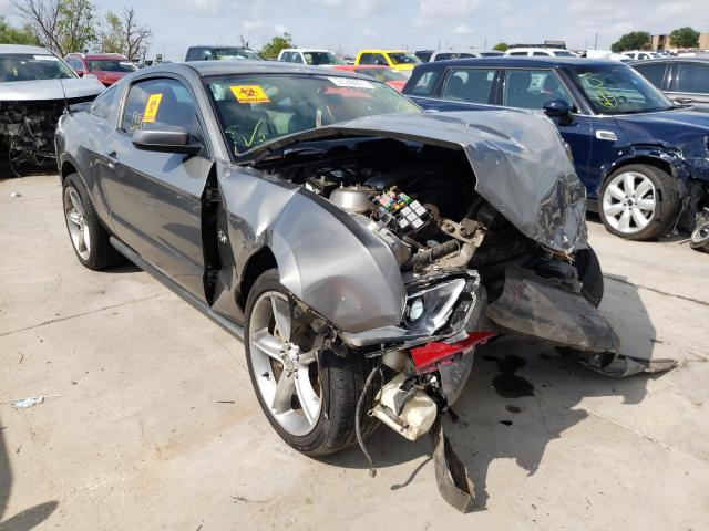 FORD MUSTANG GT 2011 1zvbp8cf6b5105924