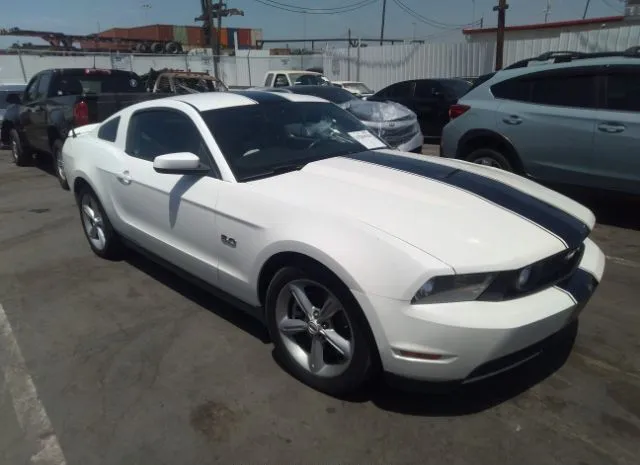 FORD MUSTANG 2011 1zvbp8cf6b5108788